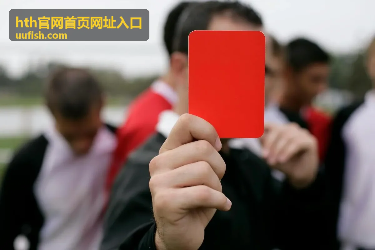 hth官网首页网址入口 账号登录与安全配图