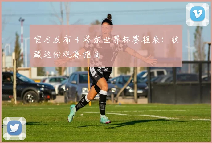 官方发布卡塔尔世界杯赛程表：收藏这份观赛指南
