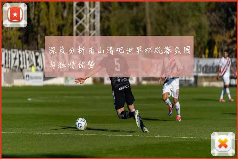 深度分析南山清吧世界杯观赛氛围与独特优势