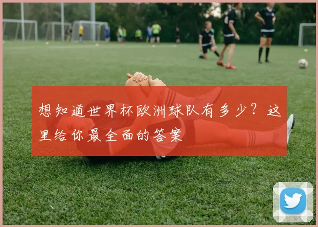 想知道世界杯欧洲球队有多少?这里给你最全面的答案
