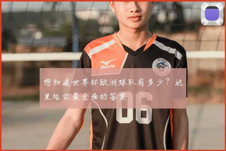 想知道世界杯欧洲球队有多少?这里给你最全面的答案