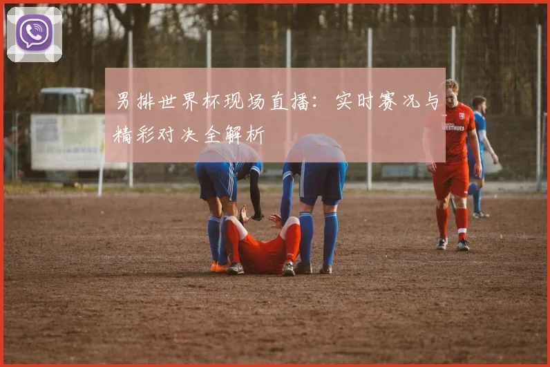 男排世界杯现场直播：实时赛况与精彩对决全解析