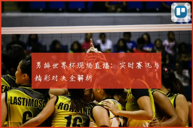 男排世界杯现场直播：实时赛况与精彩对决全解析