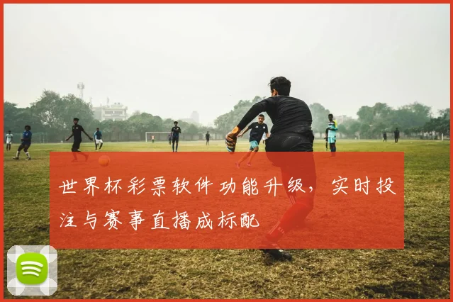 世界杯彩票软件功能升级，实时投注与赛事直播成标配