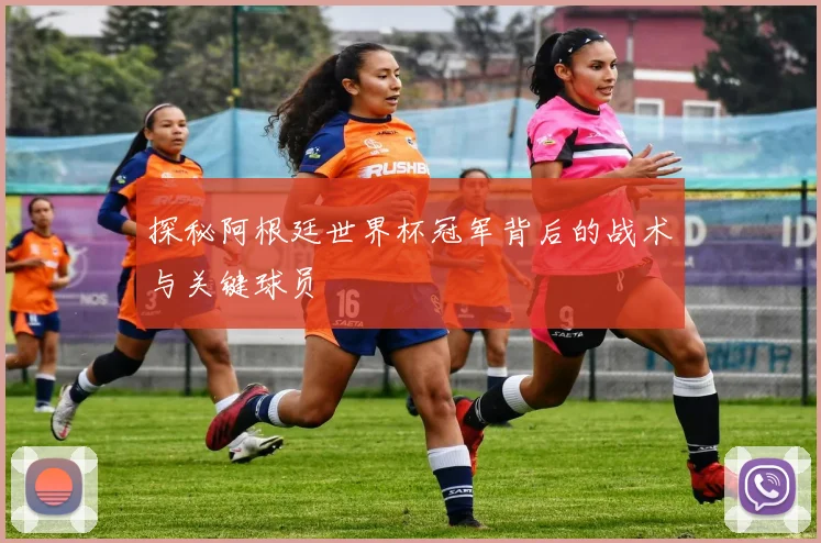 探秘阿根廷世界杯冠军背后的战术与关键球员
