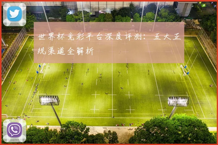 世界杯竞彩平台深度评测：五大正规渠道全解析