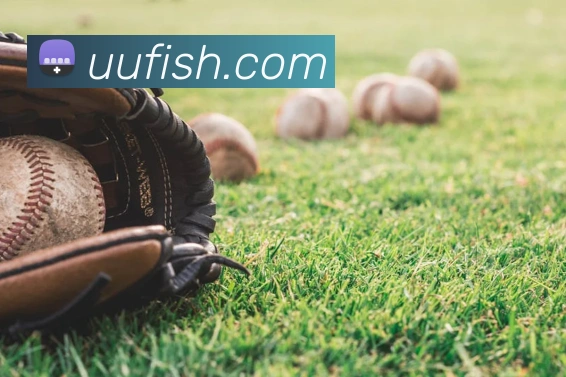 开云官方登陆入口APP 封面图